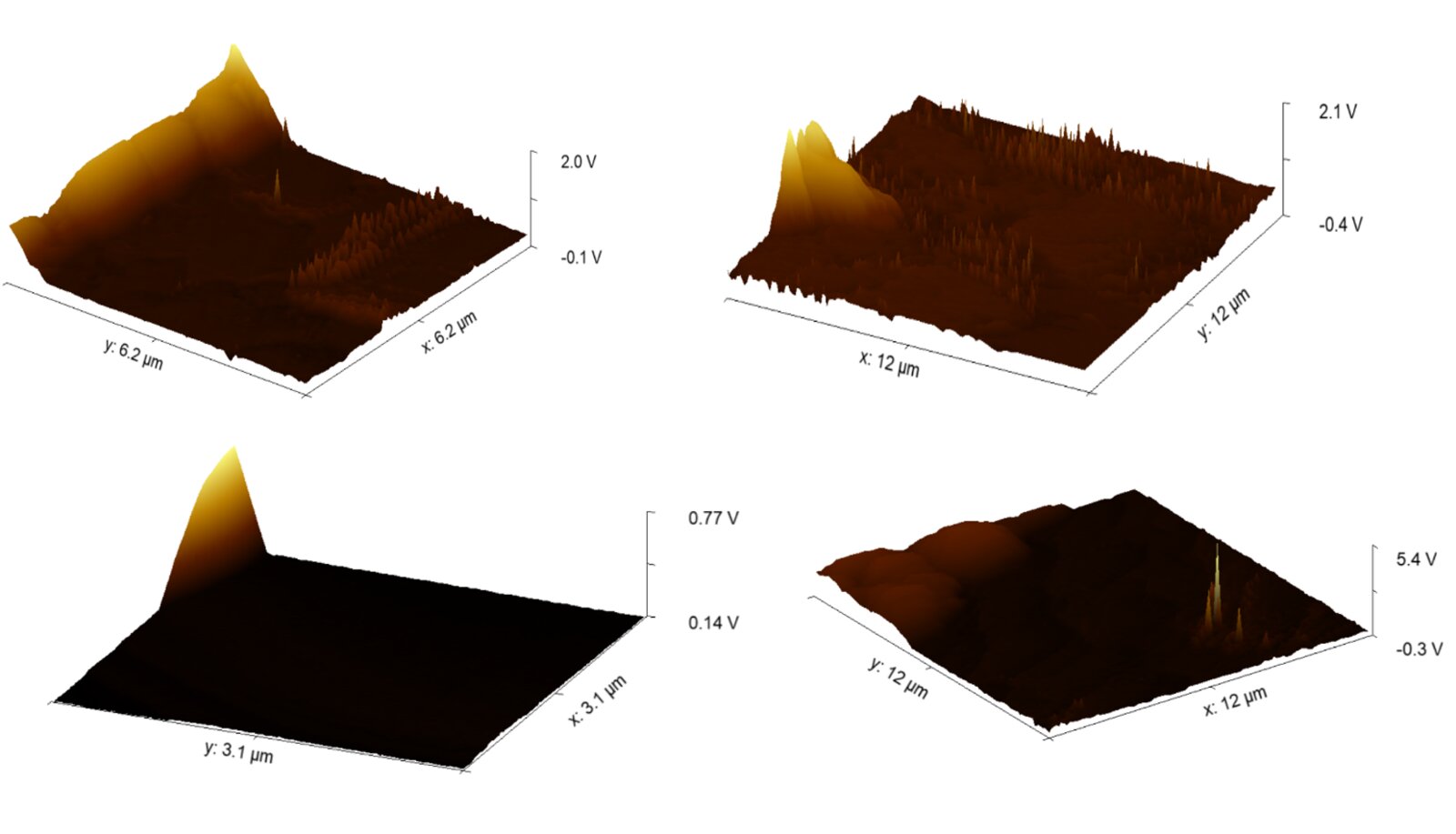 AFM 3D surface topography across the four coating conditions