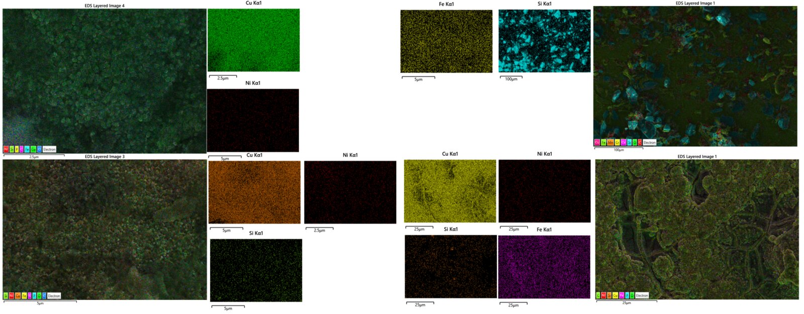 SEM-EDS elemental mapping of the CuNi composite coatings