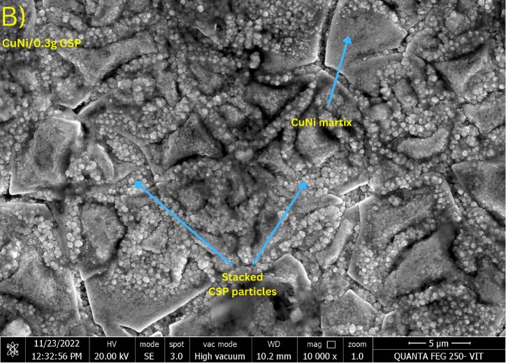SEM images showing surface morphology evolution across reinforcement loadings