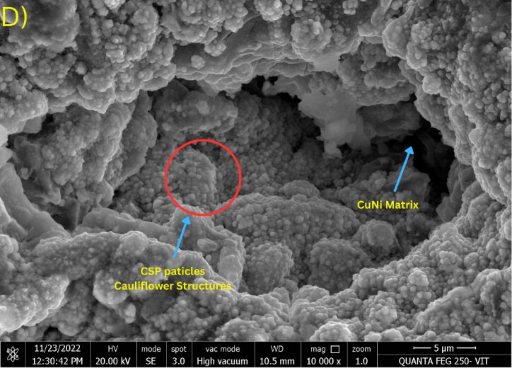SEM image of the electroless CuNi composite coating surface