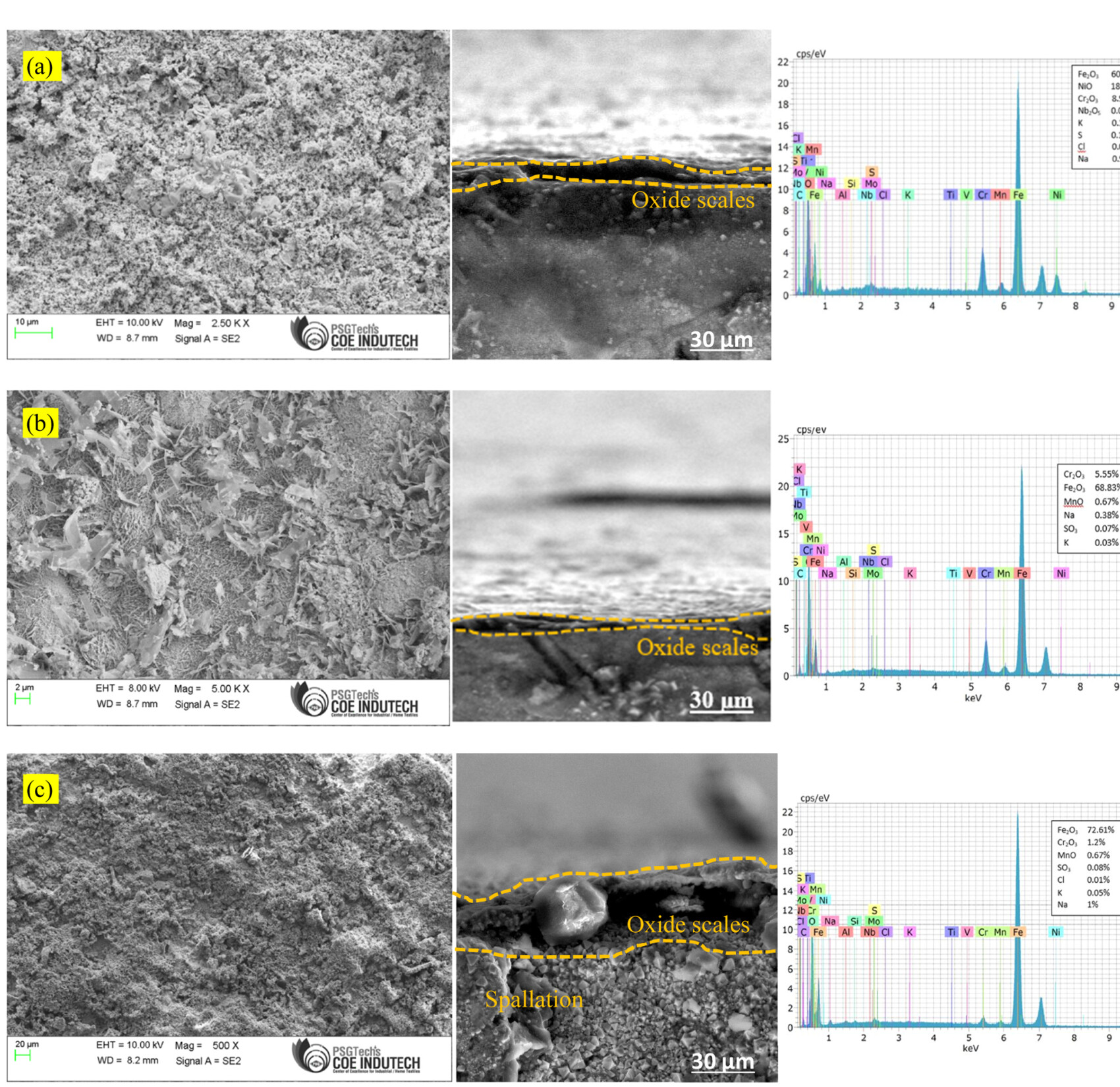 Fig. 10: SEM/EDS analysis of hot corrosion